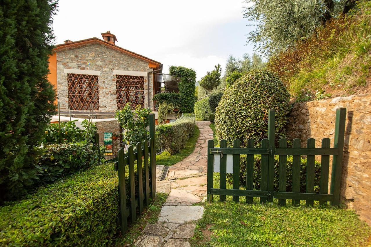 Casetta Di Butia, Mimosa Apartment Борго-а-Моццано Екстер'єр фото
